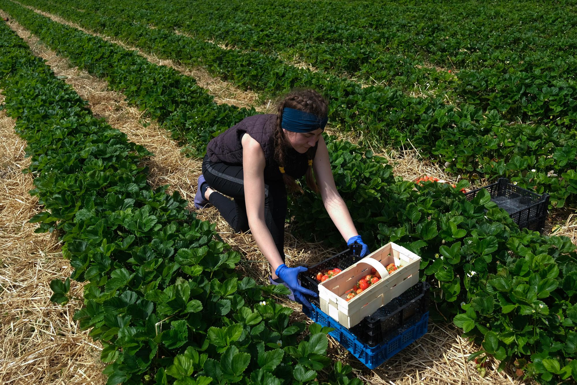 Чи можна виїздити на роботу в Європу під час воєнного стану: всі деталі